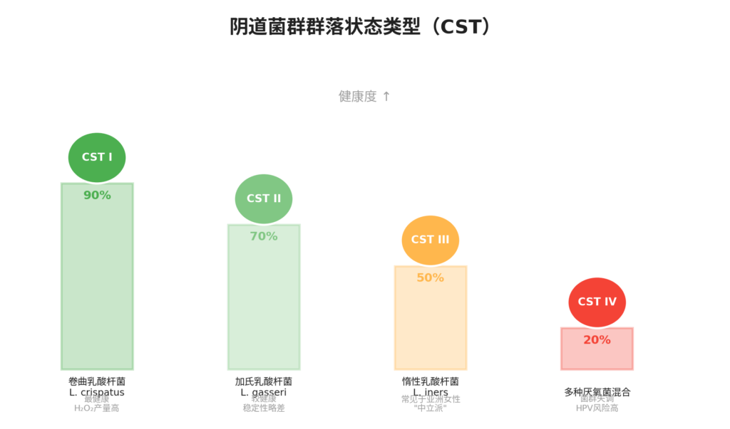 图片[1]-乳酸杆菌 —— 宫颈城堡的”贴身保镖”-新凯HPV科普平台