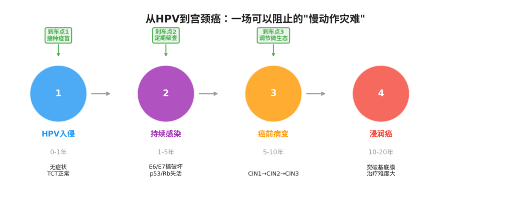 图片[1]-从HPV到宫颈癌 ——  一场可以阻止的”慢动作灾难”-新凯HPV科普平台