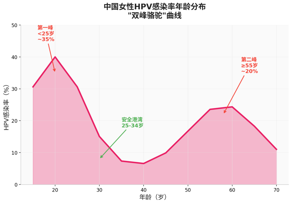图片[1]-HPV感染的”双峰”人生——中国女性的年龄密码-新凯HPV科普平台
